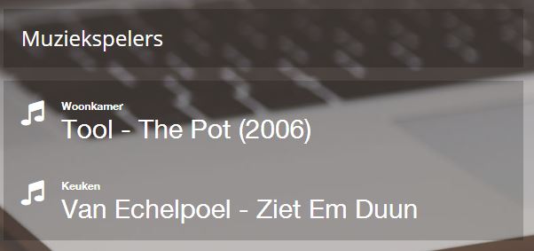 MuziekSpelers.JPG