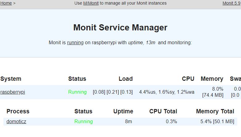 memory pi monit.JPG