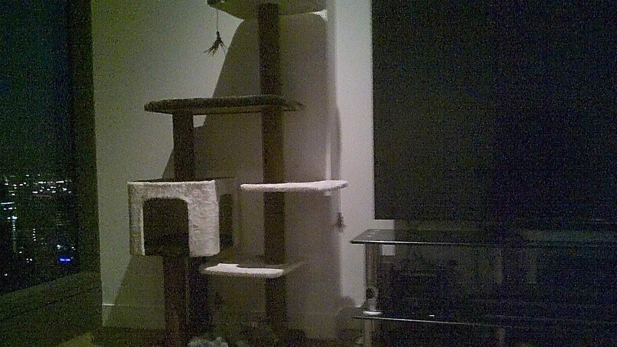 IPCamera1.jpg