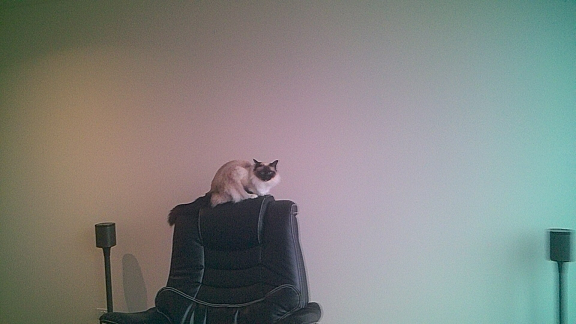 IPCamera2.png