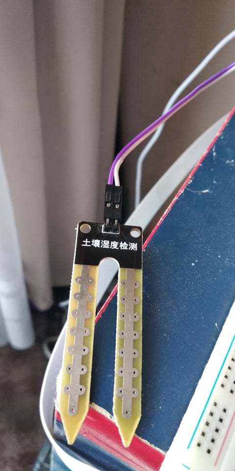 74524877_693048294516481_7173414344389033984_n.jpg