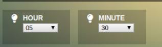 time input