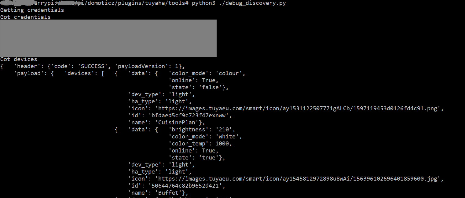 debug_discovery.png