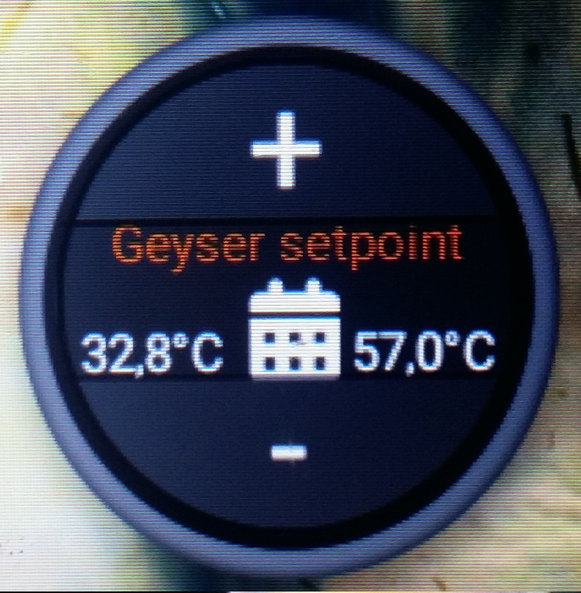 20230302_130812.jpg