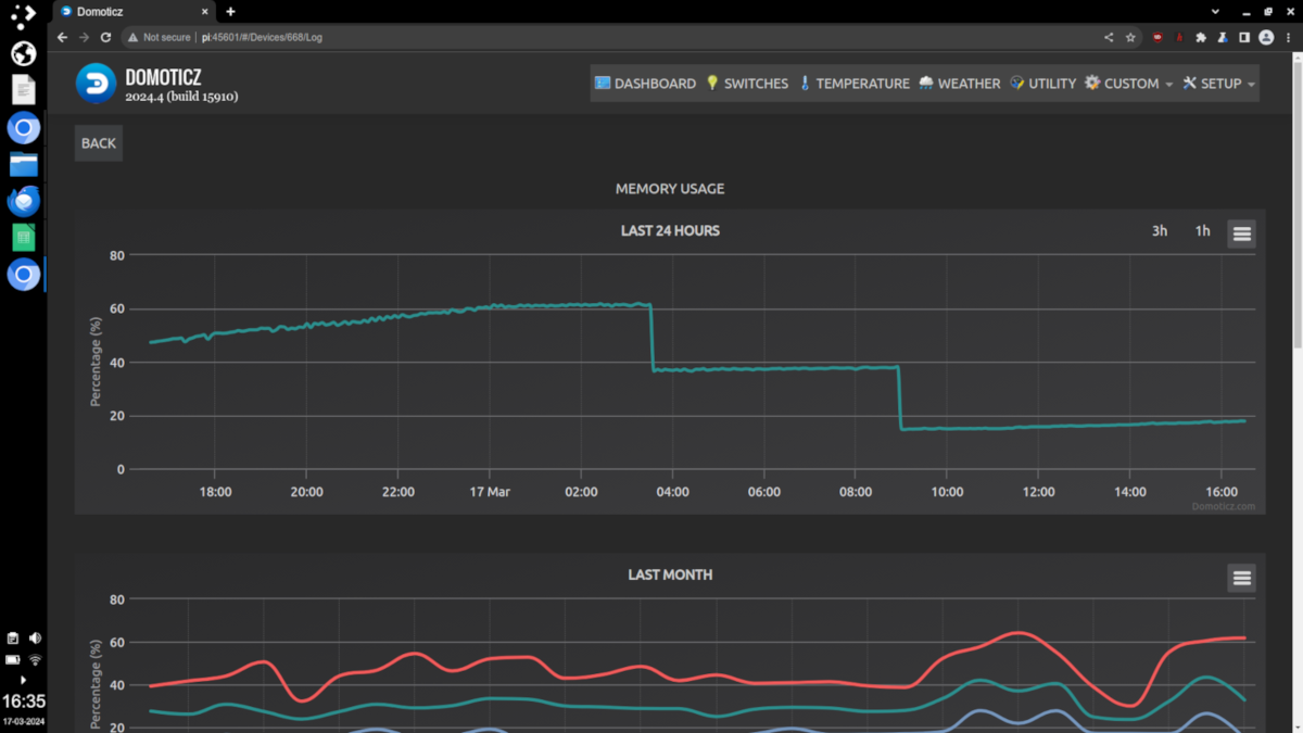 memory leaks.png